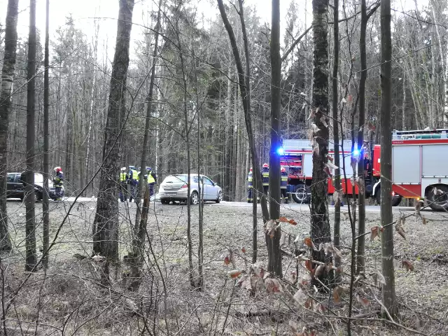 Auto stało zaparkowane w lesie w miejscowości Samszyce. Znajdujące się w aucie osoby prawdopodobnie zatruły się spalinamizdjęcie ilustracyjne