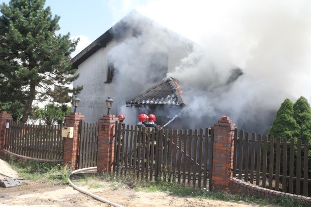 Jedenaście zastępów strażaków gasi pożar hali magazynowej trocin w Osiu w powiecie świeckim.