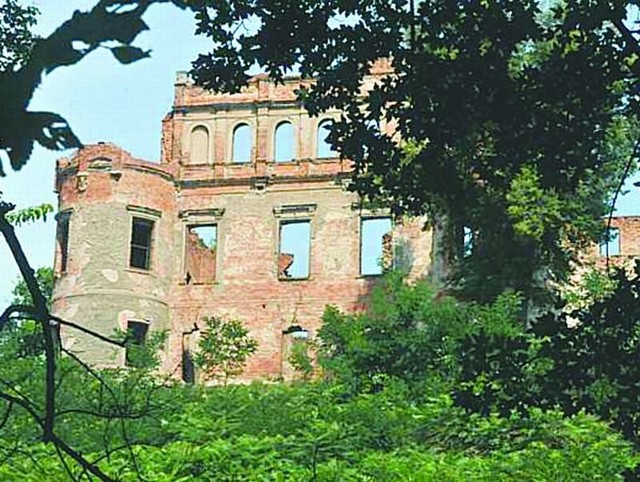 Ruiny w Siedlisku są ciekawą atrakcją dla turystów.