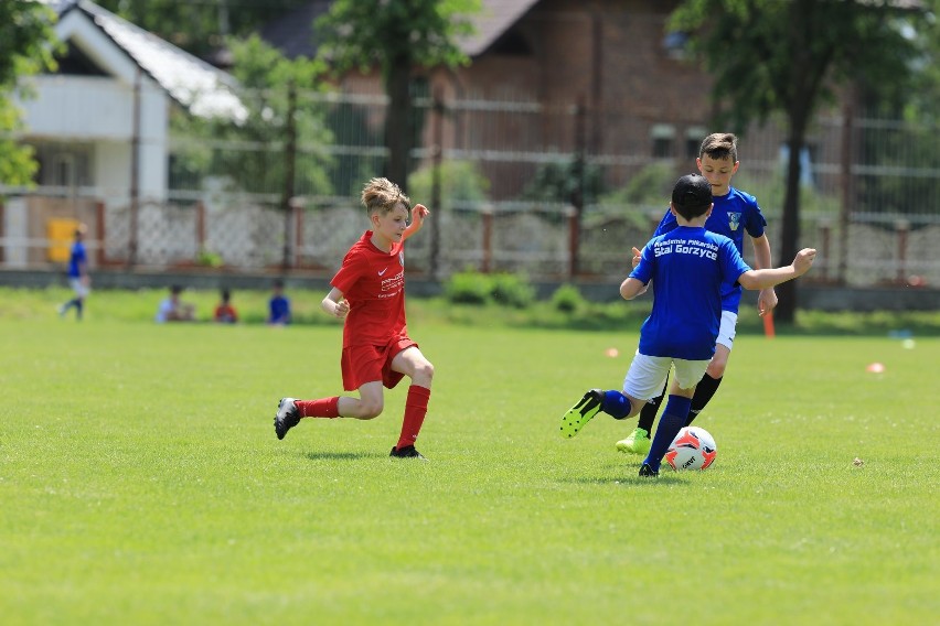 Młodzi piłkarze z Akademii Piłkarskiej Stal Gorzyce rywalizowali na boisku ze swoimi rowieśnikami ze Stalowej Woli. I wygrali (ZDJĘCIA)