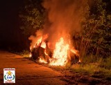 Pożar samochodu przy drodze krajowej nr 20. Pojazd spłonął doszczętnie [ZDJĘCIA]