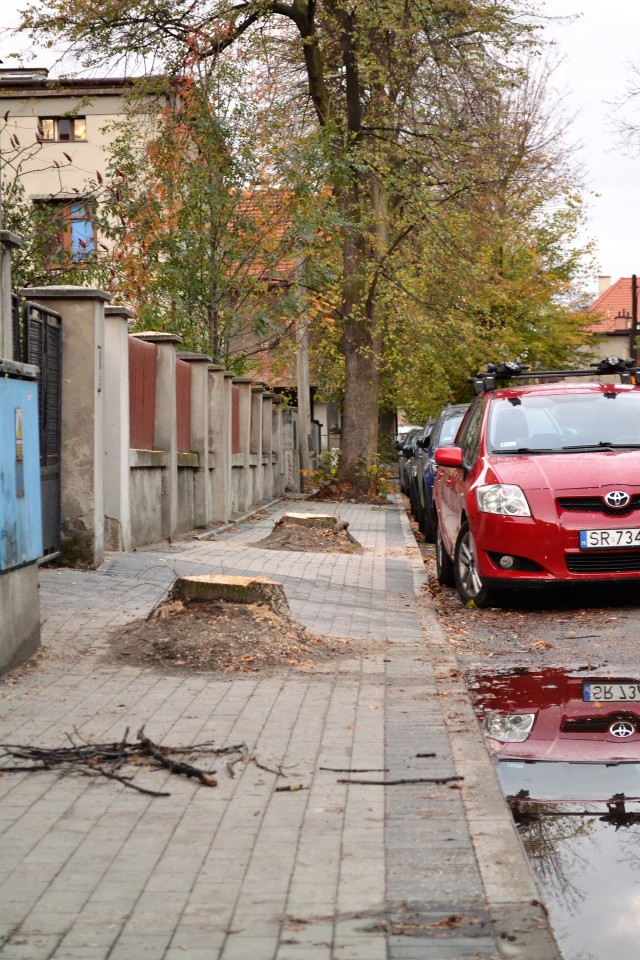 Wycięto drzewa w centrum Rybnika. Mieszkańcy pytają czy tak walczy się ze smogiem?