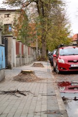 Wycięto drzewa w centrum Rybnika. Mieszkańcy pytają czy tak walczy się ze smogiem? ZDJĘCIA