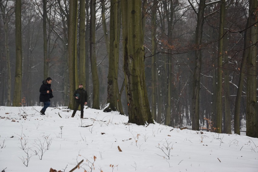 W Lasach Murckowskich zostanie wyciętych ponad 130 drzew....