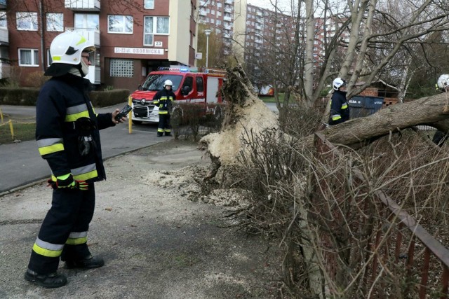 Podmuchy będą osiągały prędkość 85km/h.