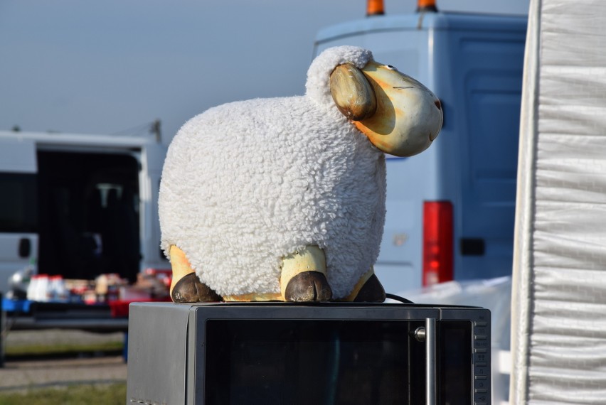 Po długiej przerwie spowodowanej epidemią koronawirusa w...