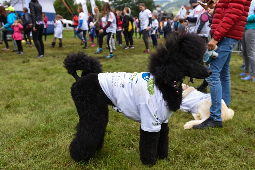 Czyste Tatry 2018. Wolontariusze wysprzątali szlaki [GALERIA]