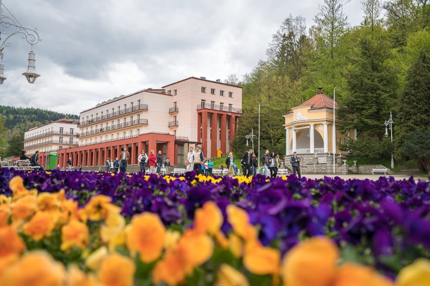 Krynica wciąż pełna gości [ZDJĘCIA]