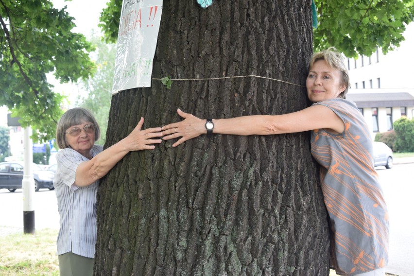 Udało się! Dwie Rzeszowianki ocaliły 200-letnie drzewo przed...