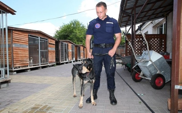 Patryk Polit rano przywiózł do schroniska dwa psy błąkające się w okolicy ulicy Konkolowej. Jeden z nich (na zdjęciu) to znany uciekinier. Na szczęście ma chip i właściciele mogli go odebrać jeszcze tego samego dnia.