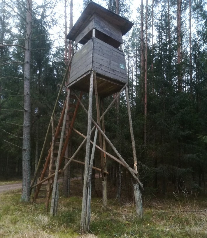 Nadleśnictwo Białowieża. Kolejne ambony zniszczone. To już prawdziwa plaga (zdjęcia)