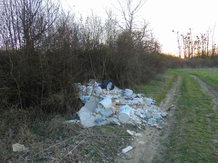 Dzikie wysypisko śmieci na szlaku św. Jakuba Via Regia w...