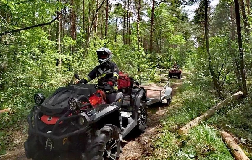 Wielki pożar lasu, nawałnica zniszczyła obóz harcerski. Na ratunek ruszyli buscy strażacy [ZDJĘCIA]