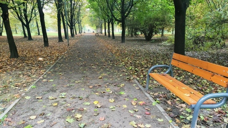 Park Hallera w Dąbrowie Górniczej w jesiennym klimacie...