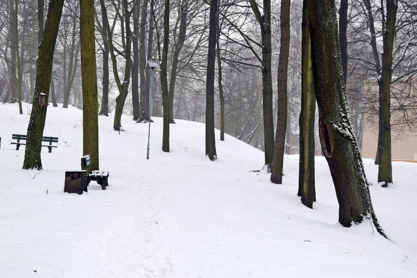 Zimą Park Tysiąclecia w Zielonej Górze nabiera zupełnie...