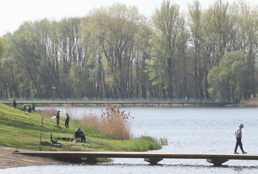 Sobota nad zalewem Borki w Radomiu. Ładna pogoda zachęciła wiele osób do spacerów i wypoczynku na świeżym powietrzu. Zobaczcie zdjęcia