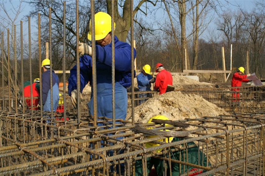 Z obserwacji pracowników zajmujących się migracją, wynika,...