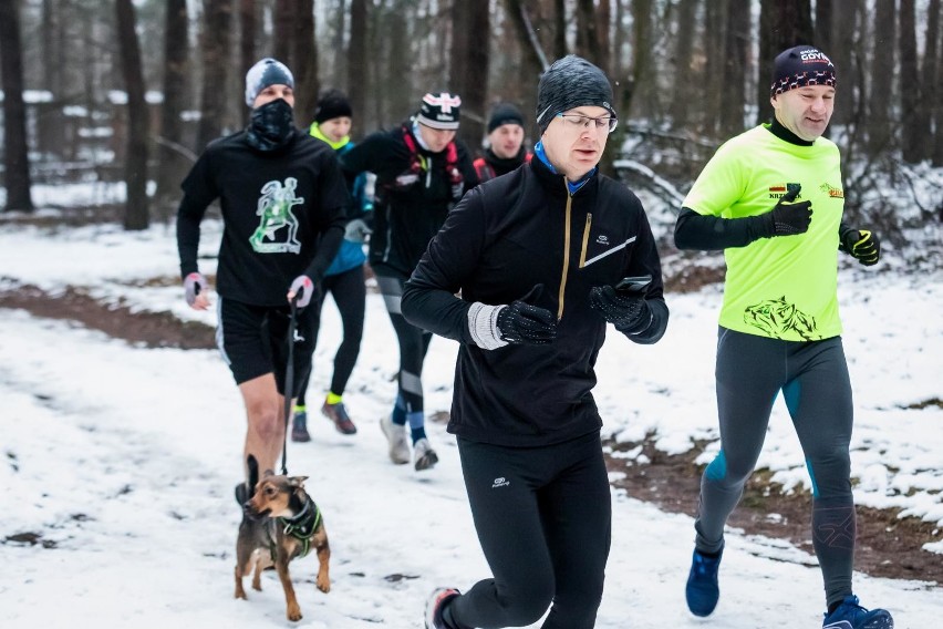 Pierwszy trening biegowy w Puszczy Bydgoskiej, na który...