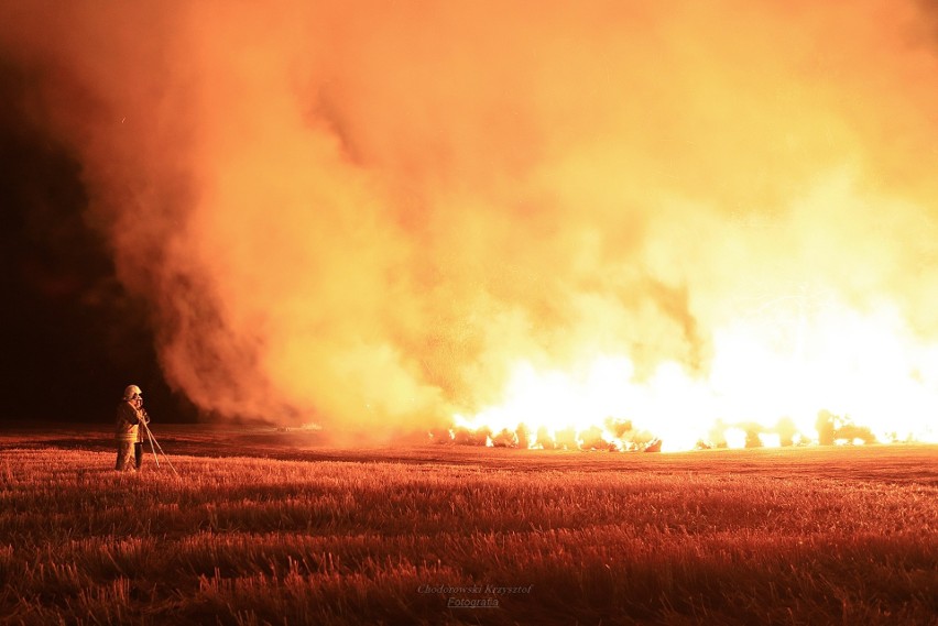 Pożar składowiska balotów w Nowej Dąbrowie [ZDJĘCIA]