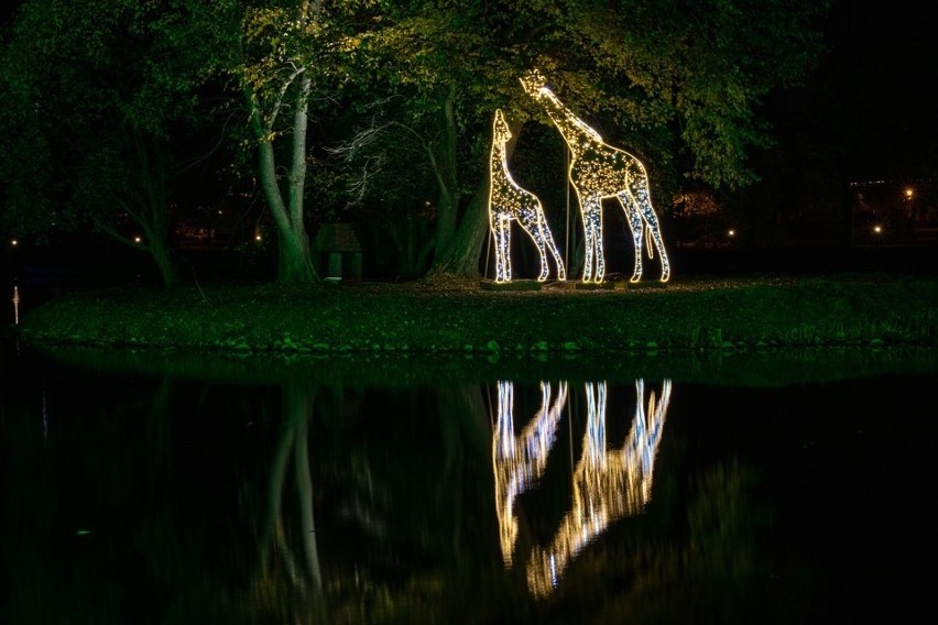 Tysiące światełek rozświetla park przy zamku Topacz w Ślęzie...