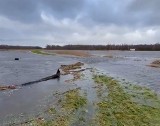 Rzeka Łeba przerwała wał w okolicy miejscowości Poraj w gminie Wicko w powiecie lęborskim. Czy istnieje ryzyko podtopienia?