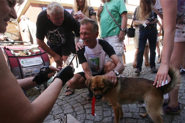 03.07.2015 legnica franciszek gogol i pies dino obiegli polskie 3 tysiace 3000 ilometrow rekord bieg obiegli obiegl rekord biegu z psem gazeta wroclawskapiotr krzyzanowski/polska press grupa