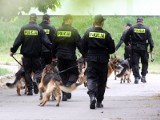 Prokuratura Rejonowa w Łomży. Policjanci staną przed sądem 