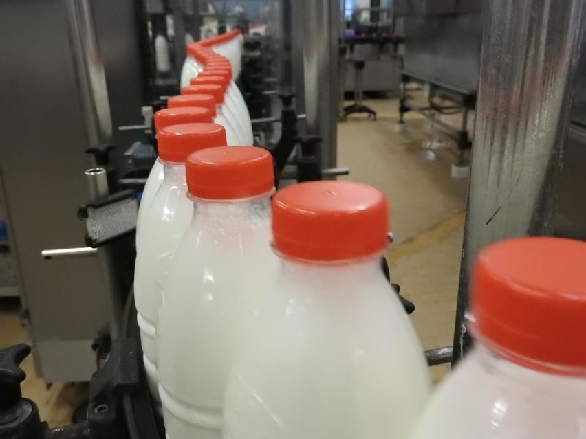 Mleko będzie o 3,5 proc. droższe niż przed rokiem....