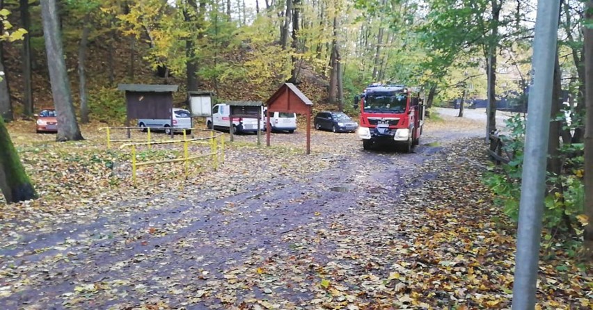 Wichura w Słupsku. W Lasku Północnym drzewo przygniotło samochód [zdjęcia]