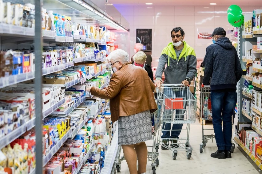 Dino nie spoczywa jednak na laurach, a poszerza działalność...