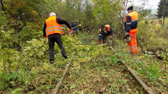 Rozpoczęła się I Siekierezada Bieszczadzka w Przemyślu. Celem akcji jest oczyszczenie torów kolejowych, nieużytkowanej od kilkunastu lat linii kolejowej 102 z Przemyśla, w kierunku Malhowic, znajdujących się tuż przy polsko - ukraińskiej granicy.