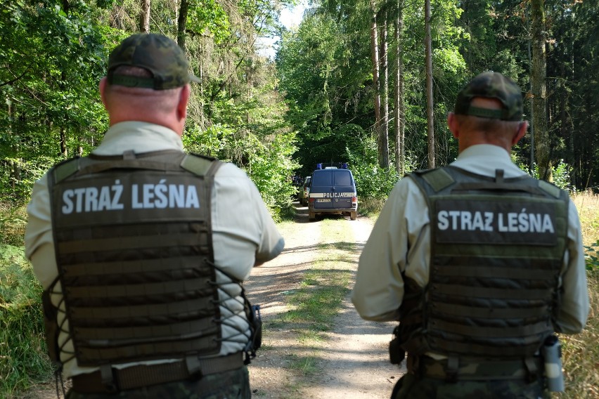 Strażnicy leśni w akcji.