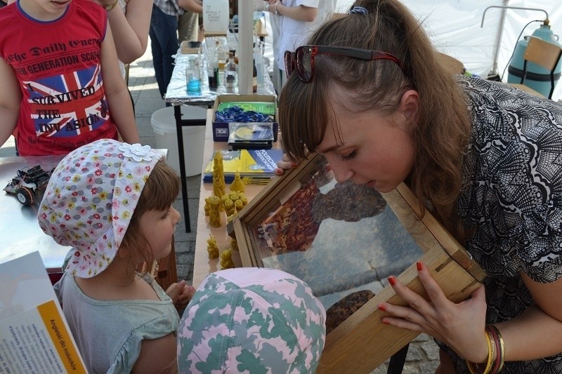 Częstochowa: Dzień Samorządu Terytorialnego. Jest Festiwal Nauki, pokazy i występy [ZDJĘCIA]