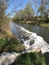 Mieszkańcy: To makabra, ścieki trafiają do Wisły przez Skawinkę. Zakład wodociągów wyjaśnia: To ścieki oczyszczone  [ZDJĘCIA]