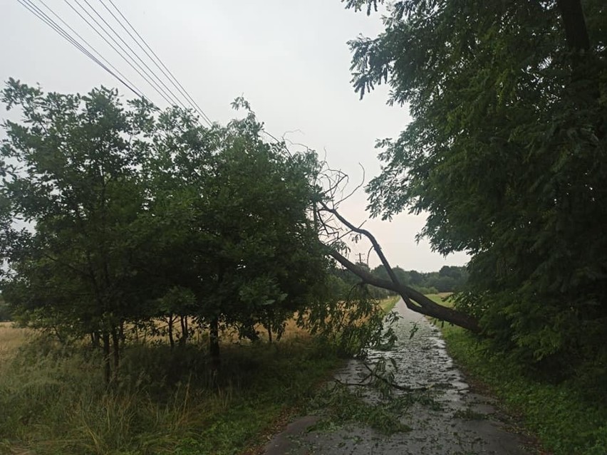 Powalone drzewo na linię niskiego napięcia w miejscowości...