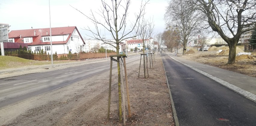 Przy okazji budowy ścieżki i chodnika na prawobrzeżu Szczecina znikają drzewa i krzewy. Co pojawi się w zamian?