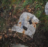 Bytomianie znaleźli dwa pistolety w lesie w Dobieszowicach