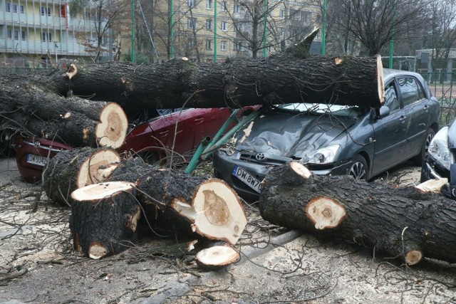 W tym powiecie zacznie mocniej wiać już około godziny 18. Największe wichury potrwają co najmniej dobę - do piątku, do godz. 19.