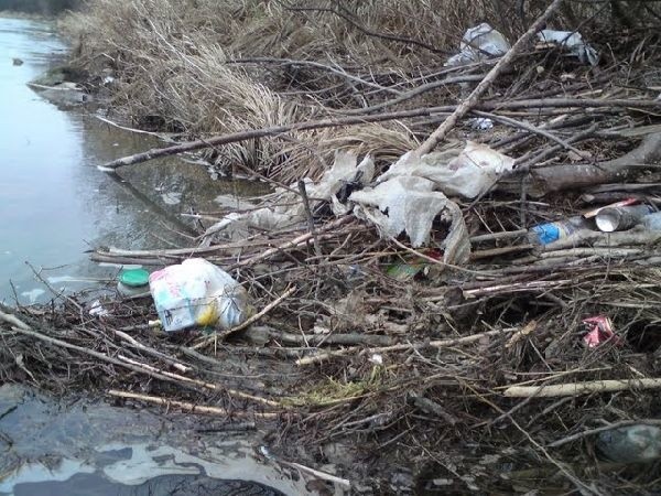 Rzeka Oslawa tonie w śmieciach...