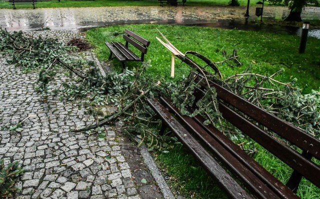 Interwencje strażaków dotyczyły głównie powalonych drzew i lokalnych podtopień.