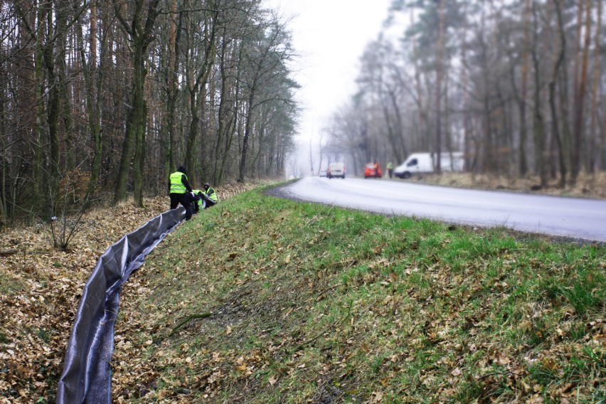 Drogowcy zbudowali w rejonie Kędzierzyna-Koźla specjalny...