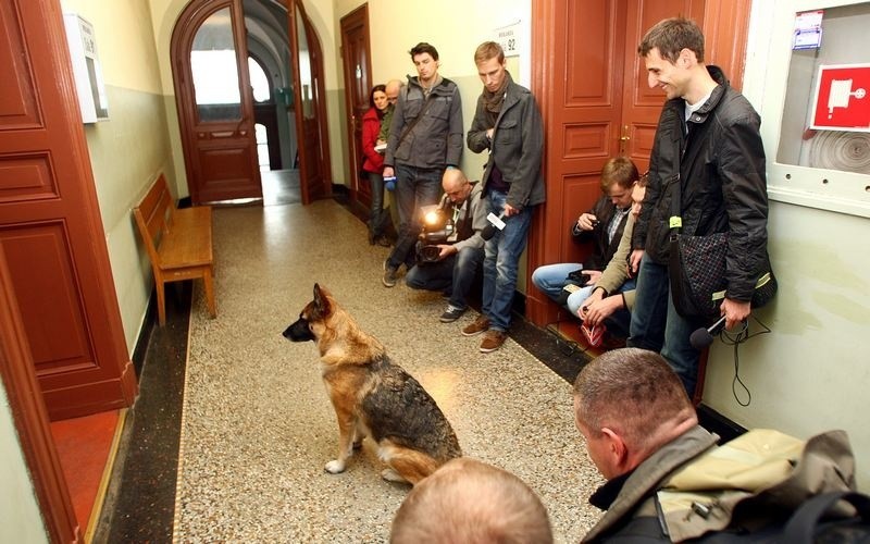 Pies pana Miłosza w szczecińskim sądzie