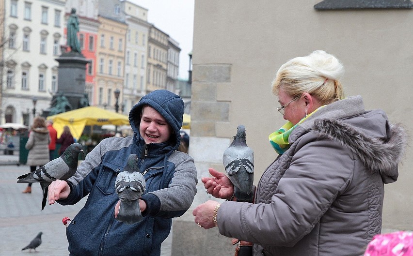 Świąteczny spacer po Rynku Głównym [ZDJĘCIA]