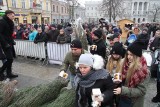 Akcja "Choinki pod choinkę od RMF". Zobacz zdjęcia z Rynku