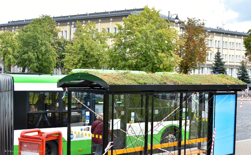 Białystok. W centrum miasta montują zielone przystanki (zdjęcia)