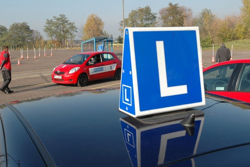 Prawo jazdy w Łodzi. Ile kosztuje? Jak wygląda poziom zdawalności w Łodzi egzaminu teoretycznego, a jak praktycznego? Sprawdź!