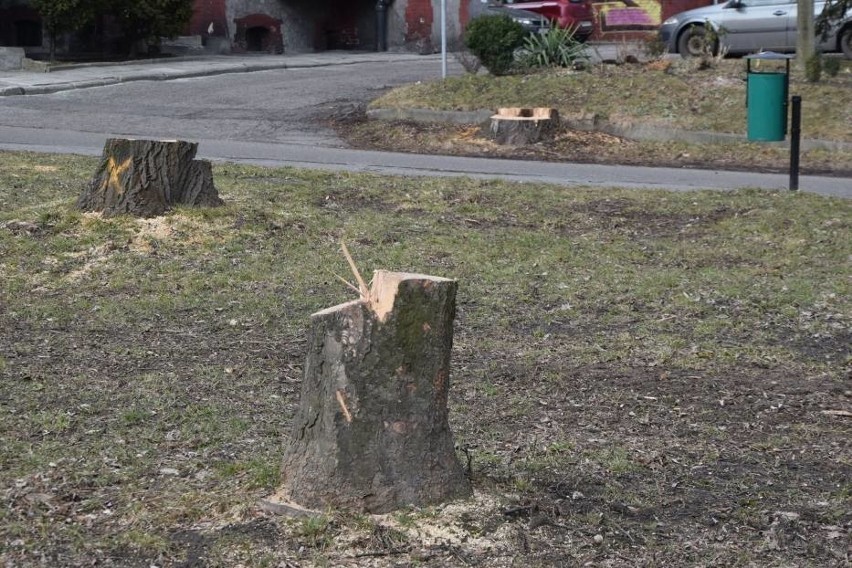 Drzewa wycięto m.in. w okolicach remontowanego dworca...