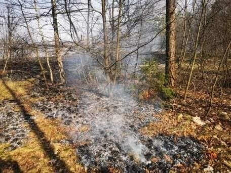 Pierwszy pożar w tym sezonie wykryty w Nadleśnictwie Barycz