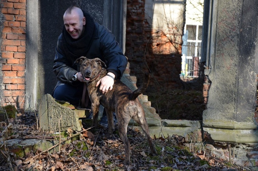 Akcja PSIjaznA Polska: Oberschlesien w sesji zdjęciowej z psami [ZDJĘCIA]