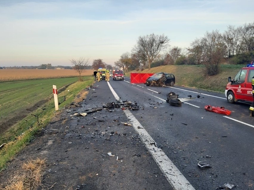 Na miejsce wysłano strażaków z JRG Szamotuły, OSP Podrzewie,...